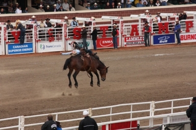 calgary stampede rodeo